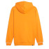 Sudadera Puma QUAD Ocre Hombre