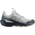 Chaussures de Montagne Salomon Elixir Activ Gris Homme