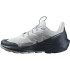 Chaussures de Montagne Salomon Elixir Activ Gris Homme