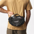 Sac banane de Montagne Salomon Trailblazer Noir
