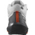 Sapatilhas de Montanha Salomon Elixir Activ Mid GORE-TEX® Cinzento Homem