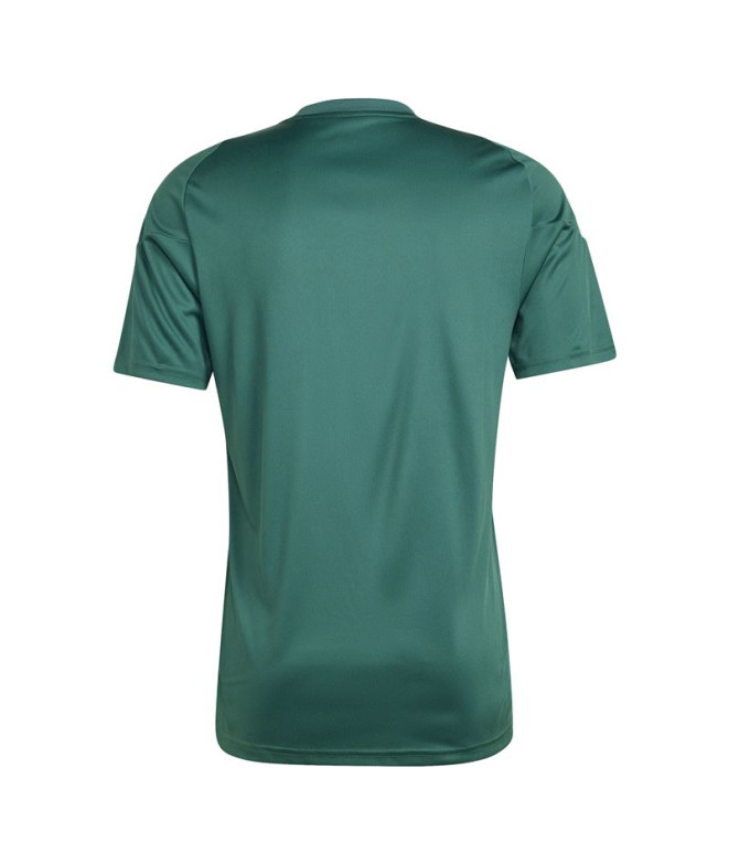 Camiseta de Futebol adidas Tiro24 Homem Verde