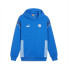 Sweat Football de Puma Manchester City FtblArchive Bleu Homme