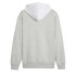 Sudadera Puma POWER Graphic H Gris Hombre