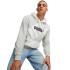 Sudadera Puma POWER Graphic H Gris Hombre