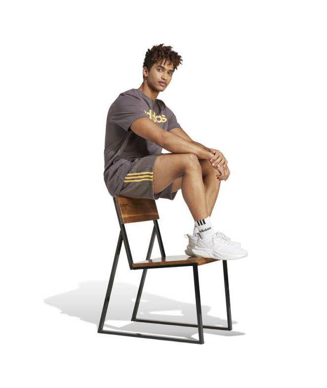 Pantalon adidas 3Bandas Ft Short Homme Charcoal