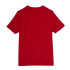 Camiseta Puma Graphics Granate Hombre