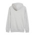 Sudadera Puma Essentials + 2 Col Small Gris Hombre