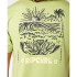 T-shirt  Rip Curl Décontracté Paradise F&B Homme Khaki