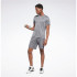 Calça Reebok Comm Knit Short Homem Cinza