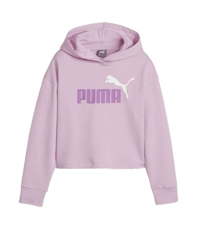 Sweat Puma Essentials+ 2COLOR Hoodie Purple Enfant