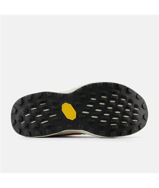 Sapatilhas de trail New Balance Fresh Foam X...