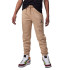 Calça Menino Jordan Mj Essentials Short Hemp