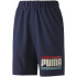 Sportswear Puma Celebration Boys Woven Pants