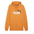 Sudadera Puma Essentials+ 2 Col Big Hombre Gris