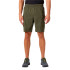 Calça por Montanha Helly Hansen Vista Hike Cargo Homem Verde