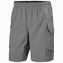 Pantalones de Montaña Helly Hansen Vista Hike Cargo Hombre Gris