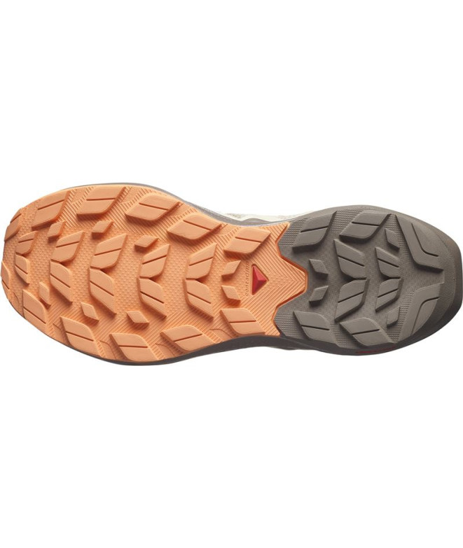 Chaussures de Montagne Salomon Elixir Activ...