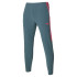 Pantalon Mizuno Charge Printed Homme Gris