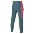 Calça Mizuno Charge Printed Homem Cinza