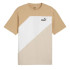 Camiseta Puma POWER Colorblock Prairie Castanho Homem
