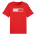 Camiseta Puma Graphics Wording For All Time Hombre
