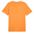 T-shirt Puma Graphics No. 1 Orange Homme