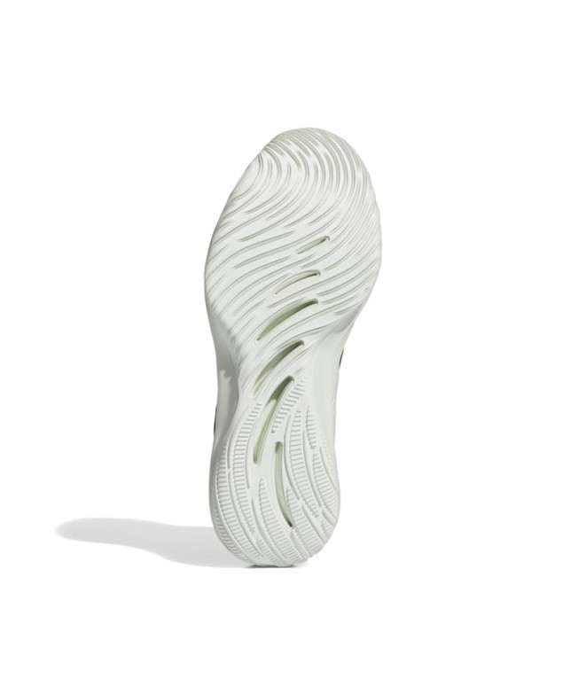 Chaussures de Basket-ball adidas Adizero Select...