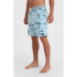 Fato de banho O'neill Hyperfreak Mysto Scallop 19'' Azul Homem