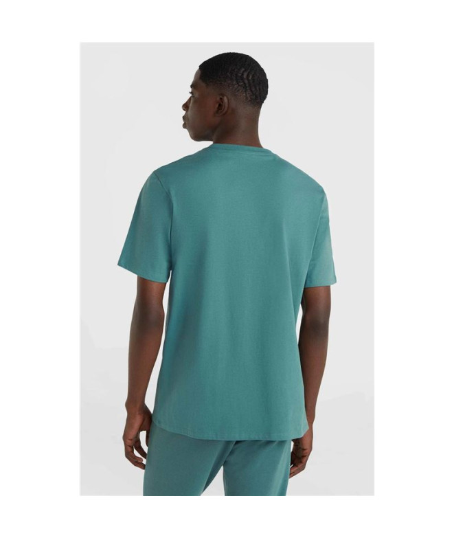 Camiseta O'neill Cali Original Verde Homem