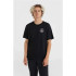 Camiseta O'neill Trvlr Back Print Preto Homem