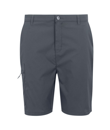 Calça de Montanha Regatta Dalry Homem Seal Grey Calça de Montanha Regatta Dalry Homem Seal Grey