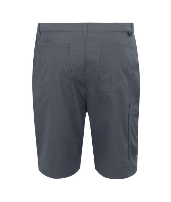 Pantalon de Montagne Regatta Dalry Homme Seal Grey