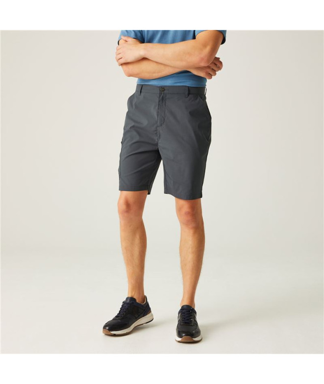 Pantalon de Montagne Regatta Dalry Homme Seal Grey