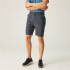 Calça de Montanha Regatta Dalry Homem Seal Grey