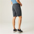 Calça de Montanha Regatta Dalry Homem Seal Grey