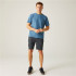 Calça de Montanha Regatta Dalry Homem Seal Grey