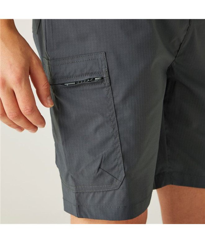 Pantalón de Montaña Regatta Dalry Hombre Seal Gris