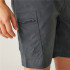 Pantalón de Montaña Regatta Dalry Hombre Seal Gris