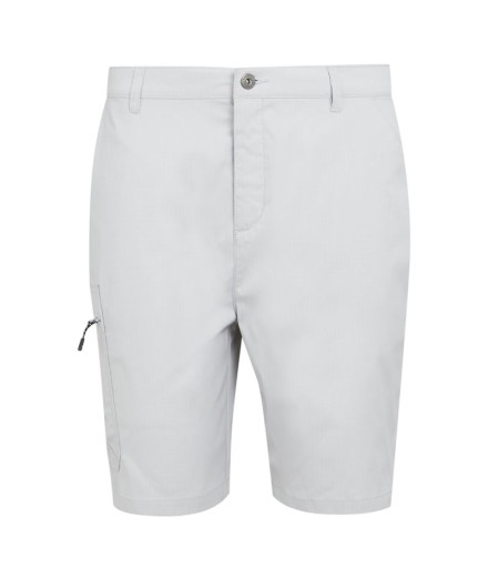 Calça de Montanha Regatta Dalry Homem Silver Gris