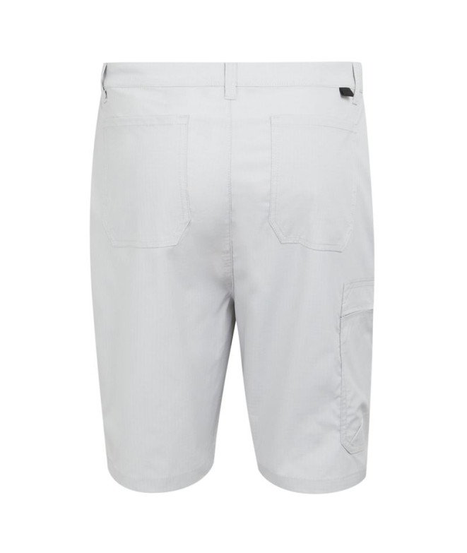 Calça de Montanha Regatta Dalry Homem Silver Gris