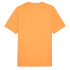 T-shirt Puma Graphics Mountain et Clementine Homme Orange