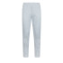 Pantalon Puma EVOSTRIPE Gris Homme