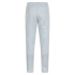 Pantalon Puma EVOSTRIPE Gris Homme