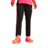 Pantalons Football by Puma individualBLAZE Noir Femme