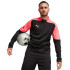 Camiseta manga larga de Fútbol Puma individualFINAL FF. Negro Hombre