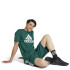 Camiseta adidas Big Logo Homem Verde
