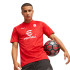 Camiseta de Fútbol Puma AC Milan Training Hombre Rojo
