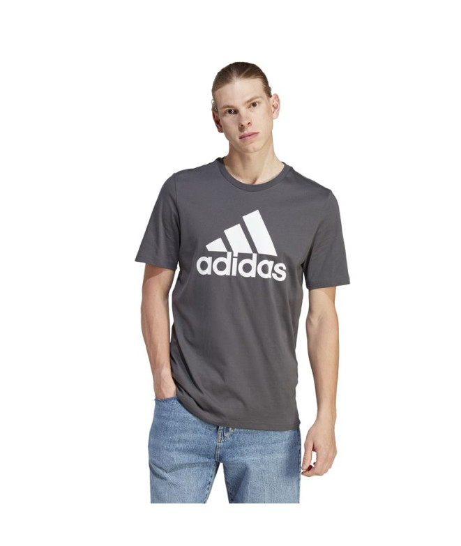 Camiseta adidas Big Logo Hombre Gris