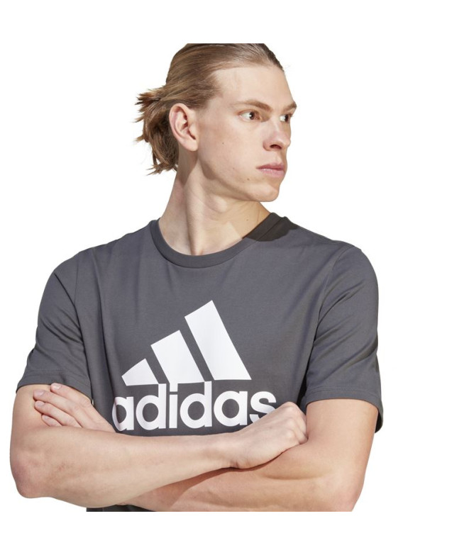 Camiseta adidas Big Logo Hombre Gris